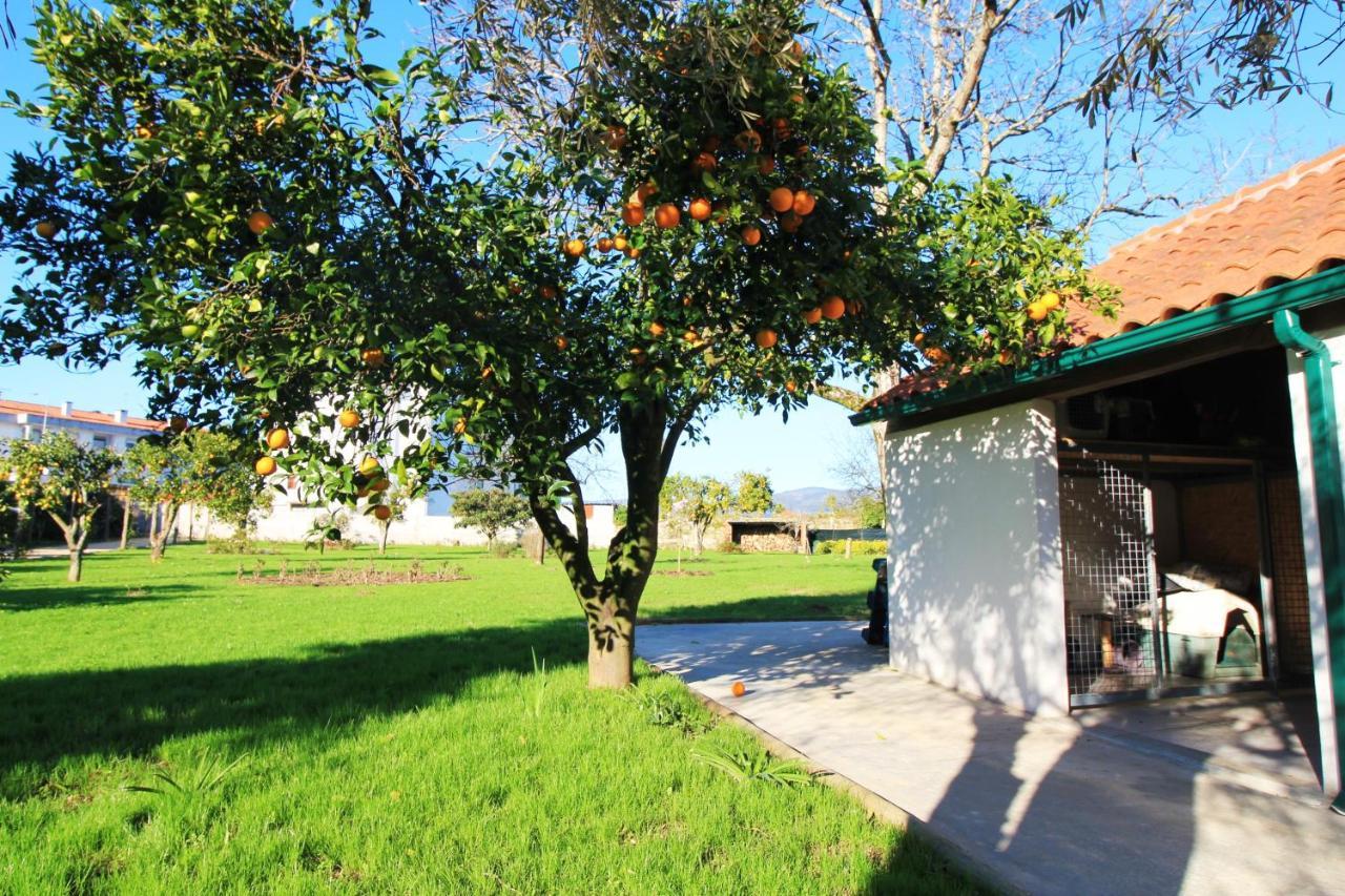 Casa Dos Ouricos Villa Ponte de Lima Eksteriør billede